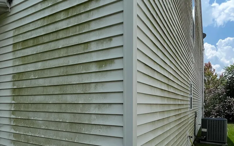 Professional house washing in the Indianapolis area